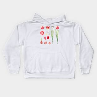 Botanical Set of Tulip. Watercolor illustration. Kids Hoodie